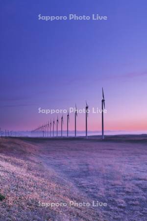 オトンルイ風力発電所の朝