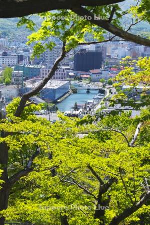 小樽運河と小樽市街地と新緑