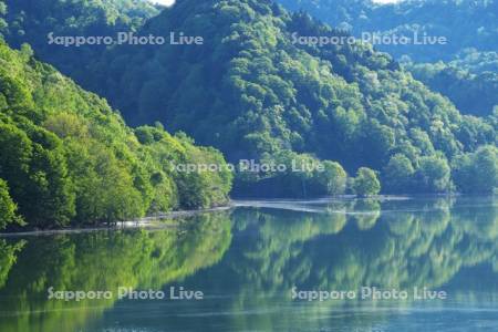 新緑の桂沢湖