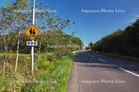 通学路の道路標識と道