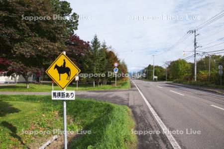 馬横断の注意標識と道