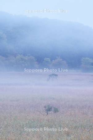 達古武湖の朝と朝霧