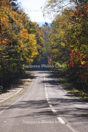 屈斜路湖畔の秋の道