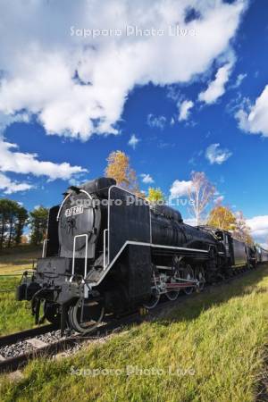 蒸気機関車　D51