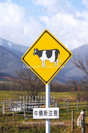 牛横断注意の交通標識