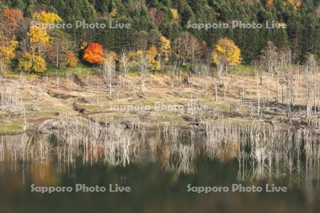 シューパロ湖の秋