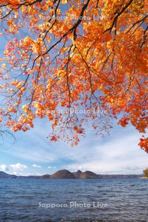 洞爺湖の秋