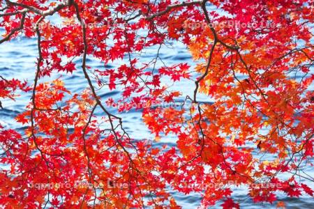 洞爺湖と紅葉