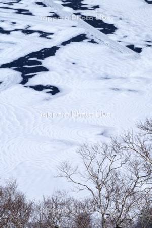 摩周湖の結氷と氷模様