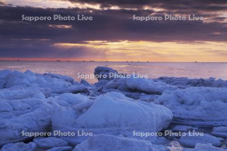 朝の流氷とホタテ漁船と根室海峡