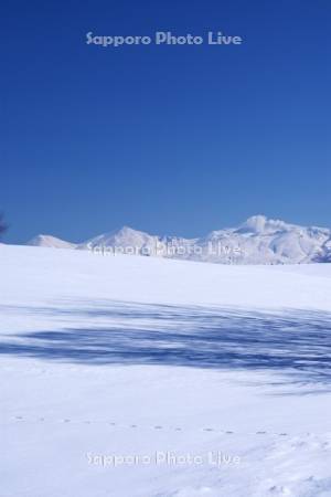 十勝岳連峰と雪原