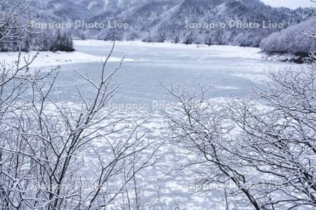かなやま湖の解氷と着雪の木々