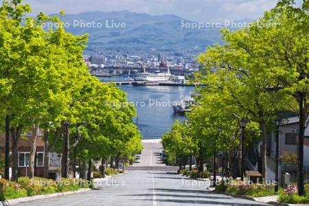 八幡坂と摩周丸と函館港
