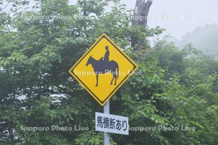 馬横断ありの道路標識