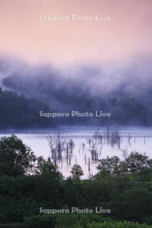 朝のシューパロ湖と朝霧
