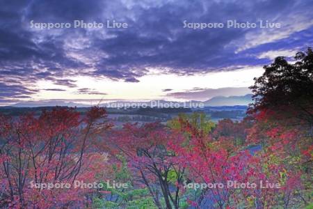深山峠のさくら園の紅葉と十勝岳連峰(右)の朝
