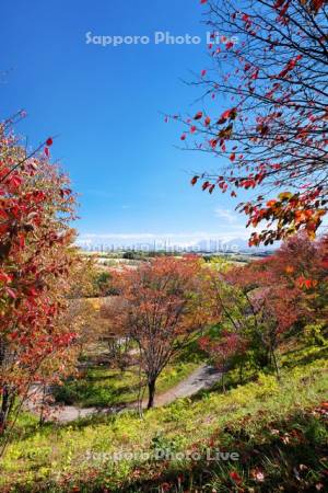 深山峠のさくら園の紅葉と十勝岳連峰