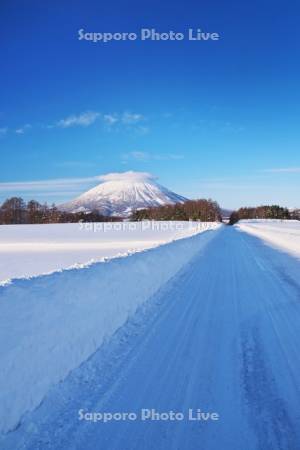 羊蹄山と雪の道