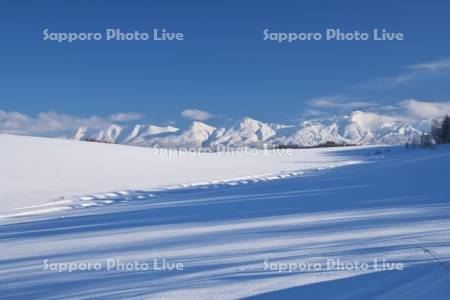 十勝岳連峰と雪原