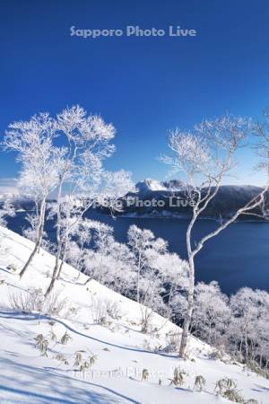 摩周湖の樹氷
