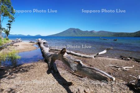 支笏湖と枯木と風不死岳