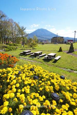 羊蹄山とひらふ高原中央公園