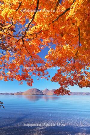 洞爺湖の紅葉と中島