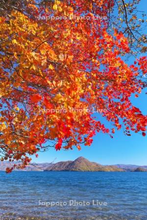洞爺湖の紅葉と中島