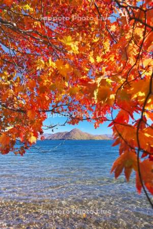 洞爺湖の紅葉と中島