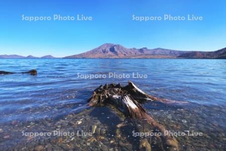 支笏湖と枯れ木と風不死岳