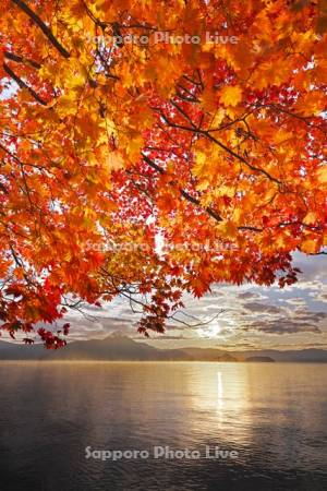 洞爺湖の日の出と紅葉