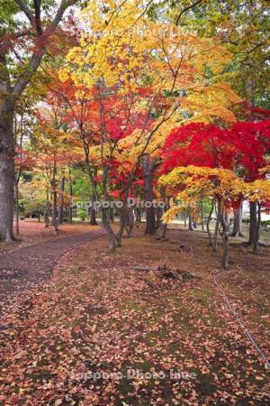 香雪園（見晴公園）の紅葉