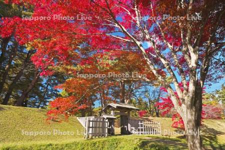 松前藩戸切地陣屋跡と紅葉