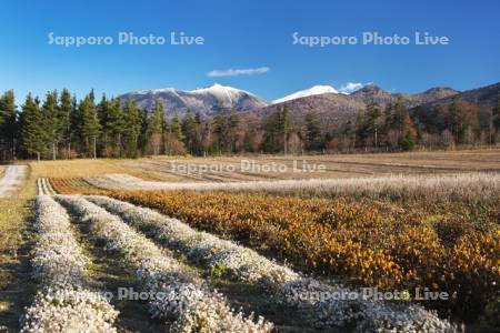 麓郷展望台の紅葉と前富良野岳などの山々