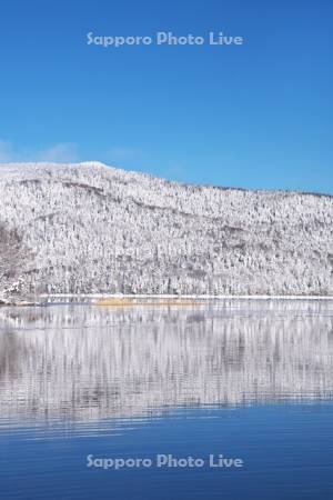 阿寒湖と樹氷