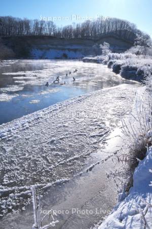 釧路川の氷とフロストフラワー