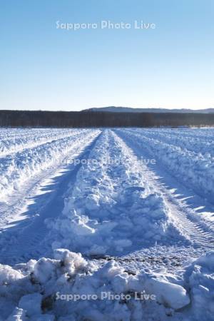 畑の雪割り