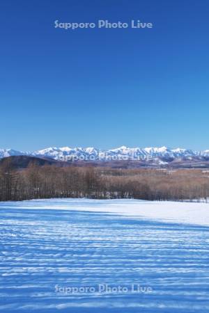 日高山脈と冬の農地