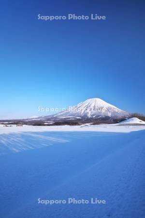 羊蹄山と残雪の畑