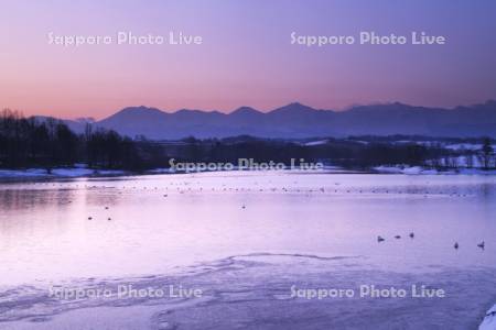 水沢ダムの朝と十勝岳連峰