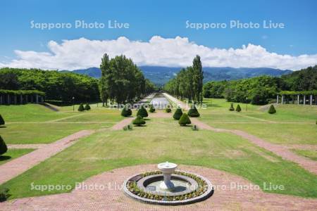 前田森林公園　ポプラ並木