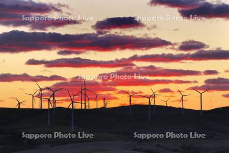 宗谷丘陵の風力発電の夕景