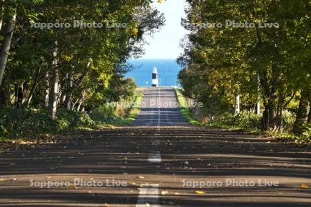 能取岬灯台と秋の道とオホーツク海