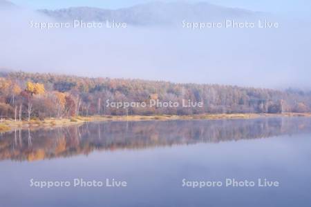 かなやま湖の紅葉