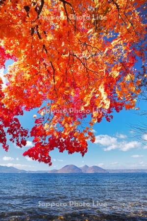 洞爺湖の紅葉と中島
