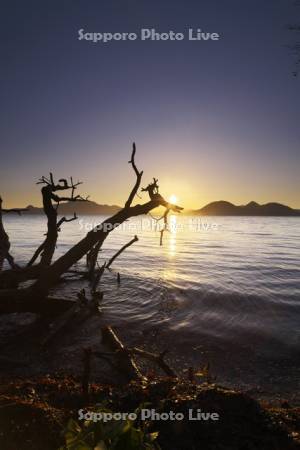 洞爺湖の日没と中島と枯れ木