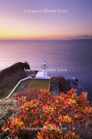 地球岬の朝とチキウ岬灯台と紅葉