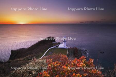 地球岬の日の出とチキウ岬灯台と紅葉