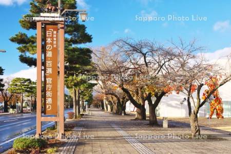 官庁街通りと紅葉