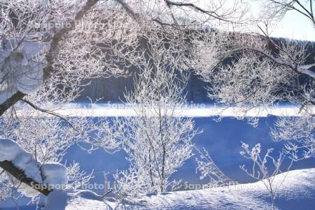 江丹別川の樹氷